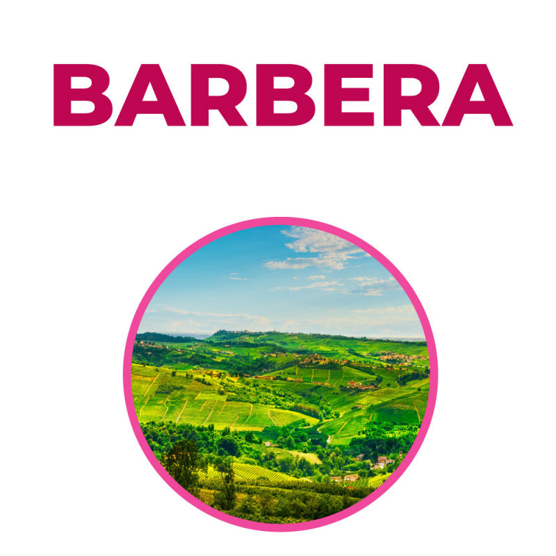 Corso Barbera