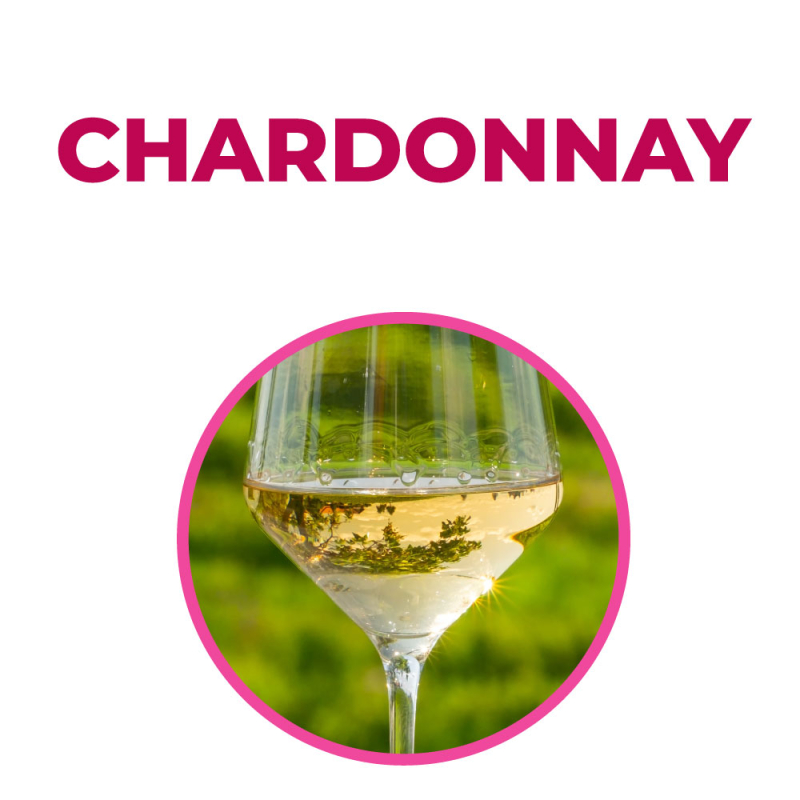 Corso Chardonnay