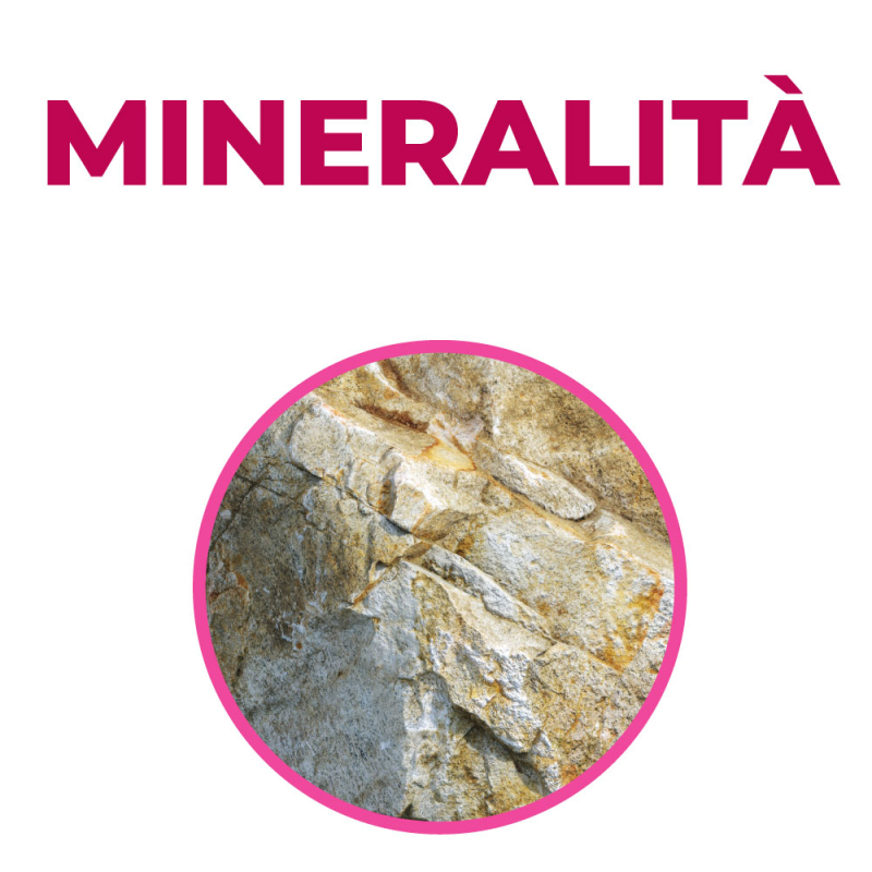 Corso Mineralità