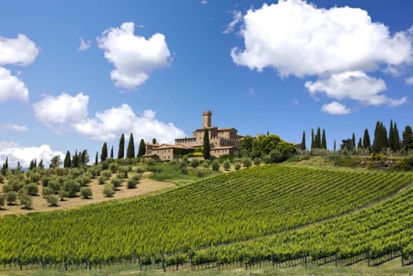 Bibenda Viaggi: Il Brunello di Montalcino