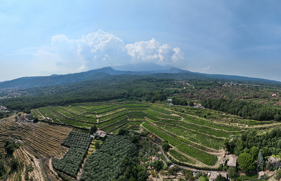 Bibenda Viaggi: Etna