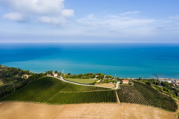 Terra Fageto: il giardino delle Marche