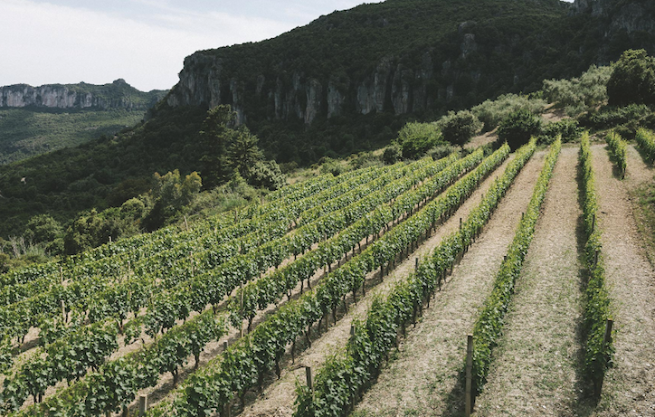 Antichi Poderi Jerzu