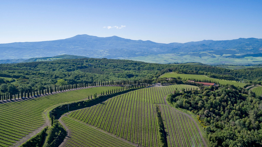 Poggio Antico Poggio Antico