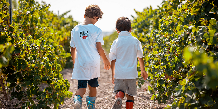 Fina Vini: Sicilia tra mare e colline