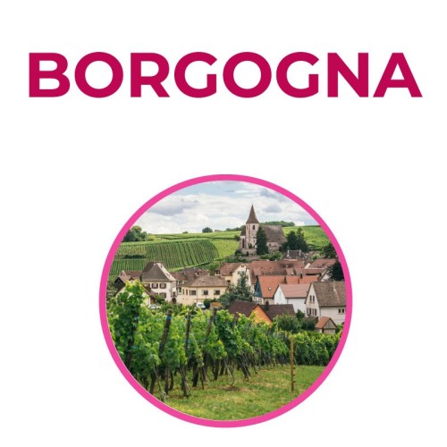 Corso sulla Borgogna