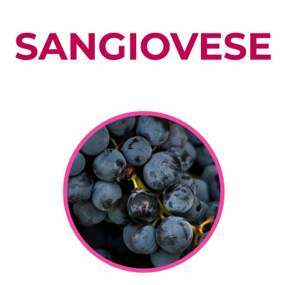 Corso sul Sangiovese