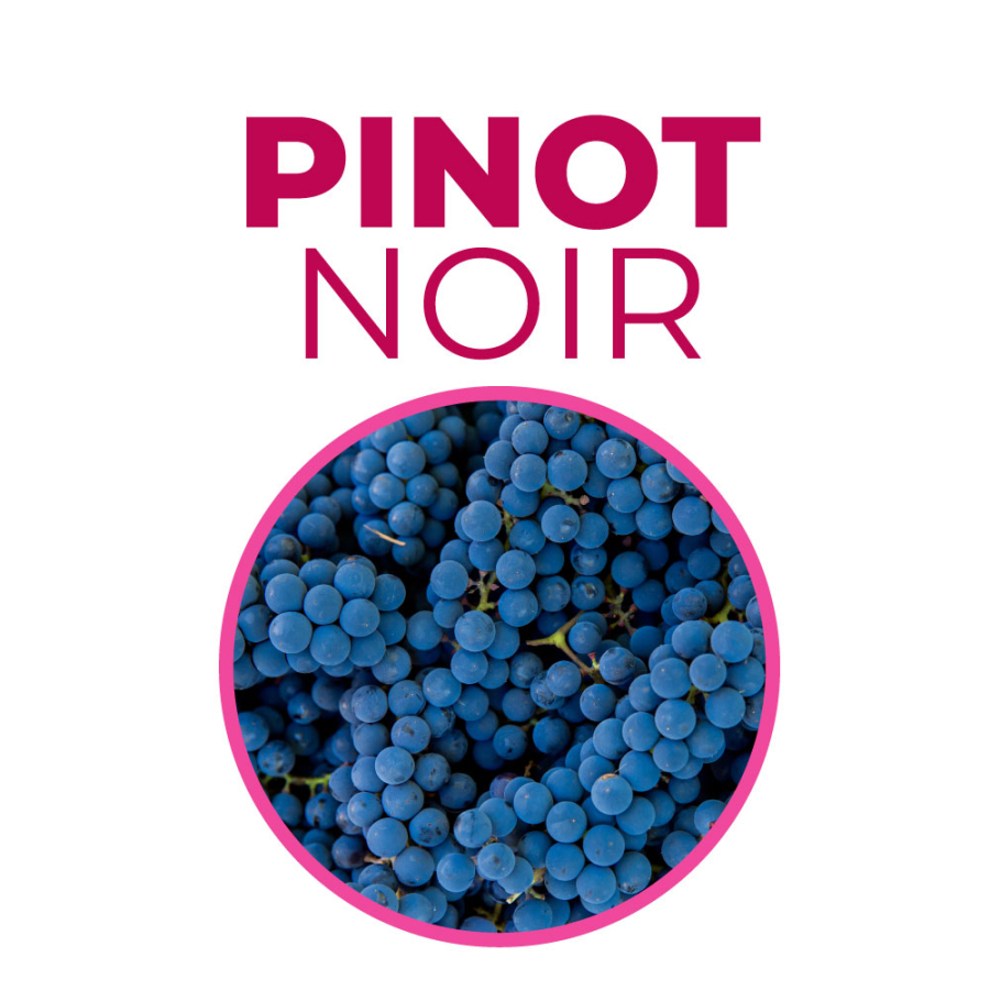 Corso sul Pinot Noir