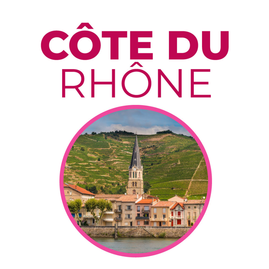 Corso sulla Côte du Rhône