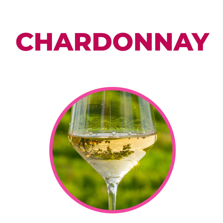 Corso sullo Chardonnay