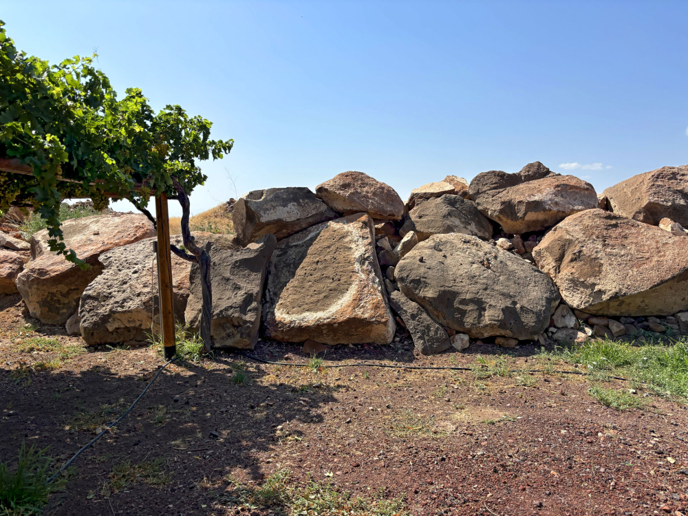 Karas, dettaglio sulla geologia del terreno Karas, dettaglio sulla geologia del terreno