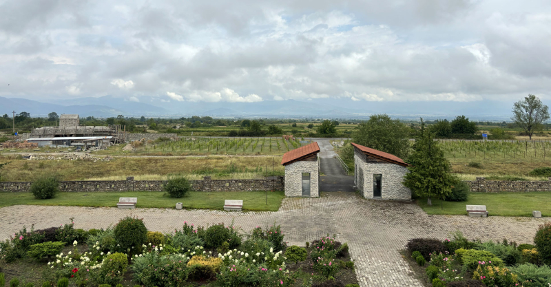 Badagoni, vista sui vigneti Badagoni, vista sui vigneti