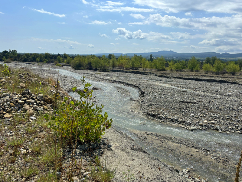 Siamo nella regione del Kakheti nelle vigne di Zurab Topuridze, adiacenti alle rive del fiume Kisiskhevi Siamo nella regione del Kakheti nelle vigne di Zurab Topuridze, adiacenti alle rive del fiume Kisiskhevi