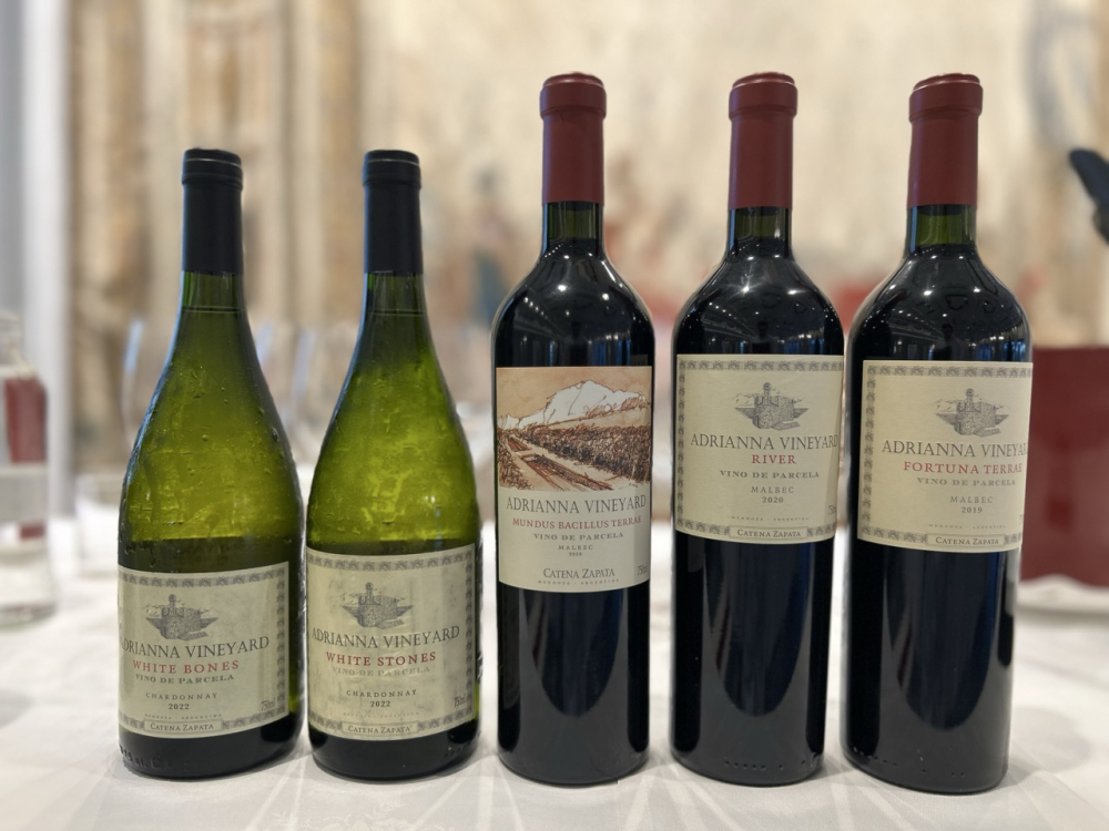 Catena Zapata - Adrianna Vineyard
