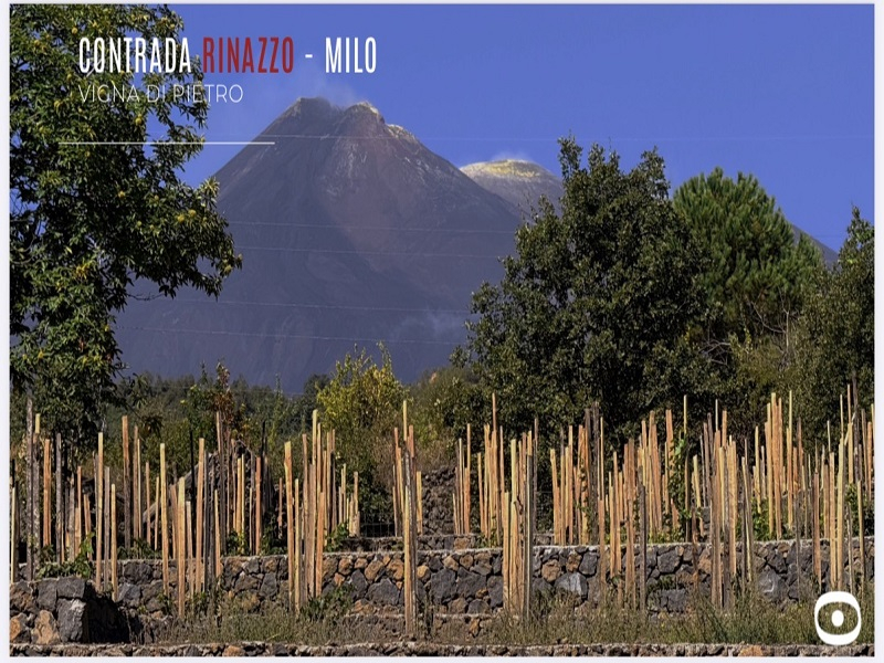 Contrada Rinazzo - Milo Contrada Rinazzo - Milo