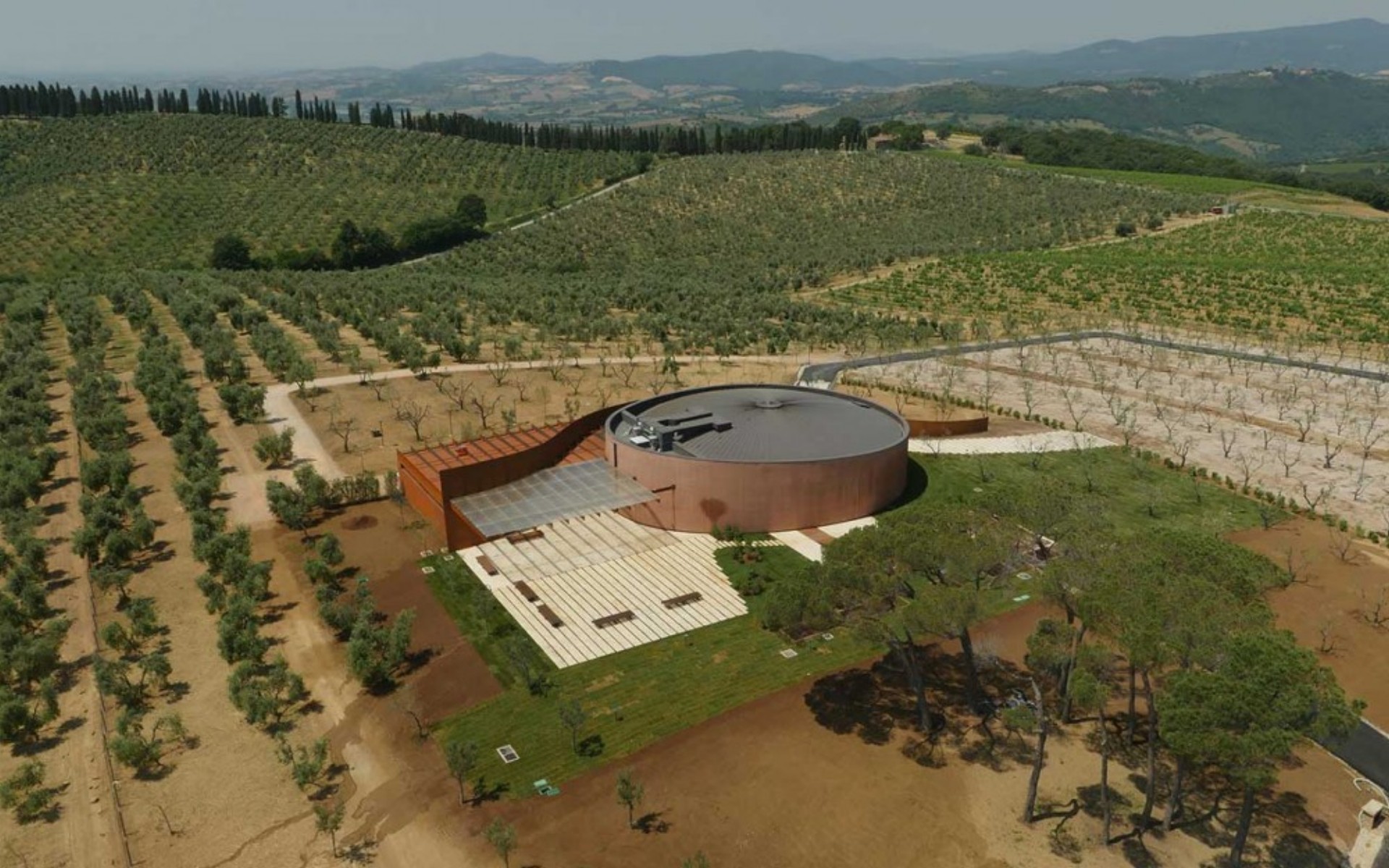 L'Auditorium di Fondazione Bertarelli costruito in mezzo alle vigne di Collemassari