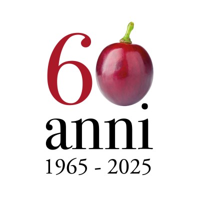 Un anno speciale allora!