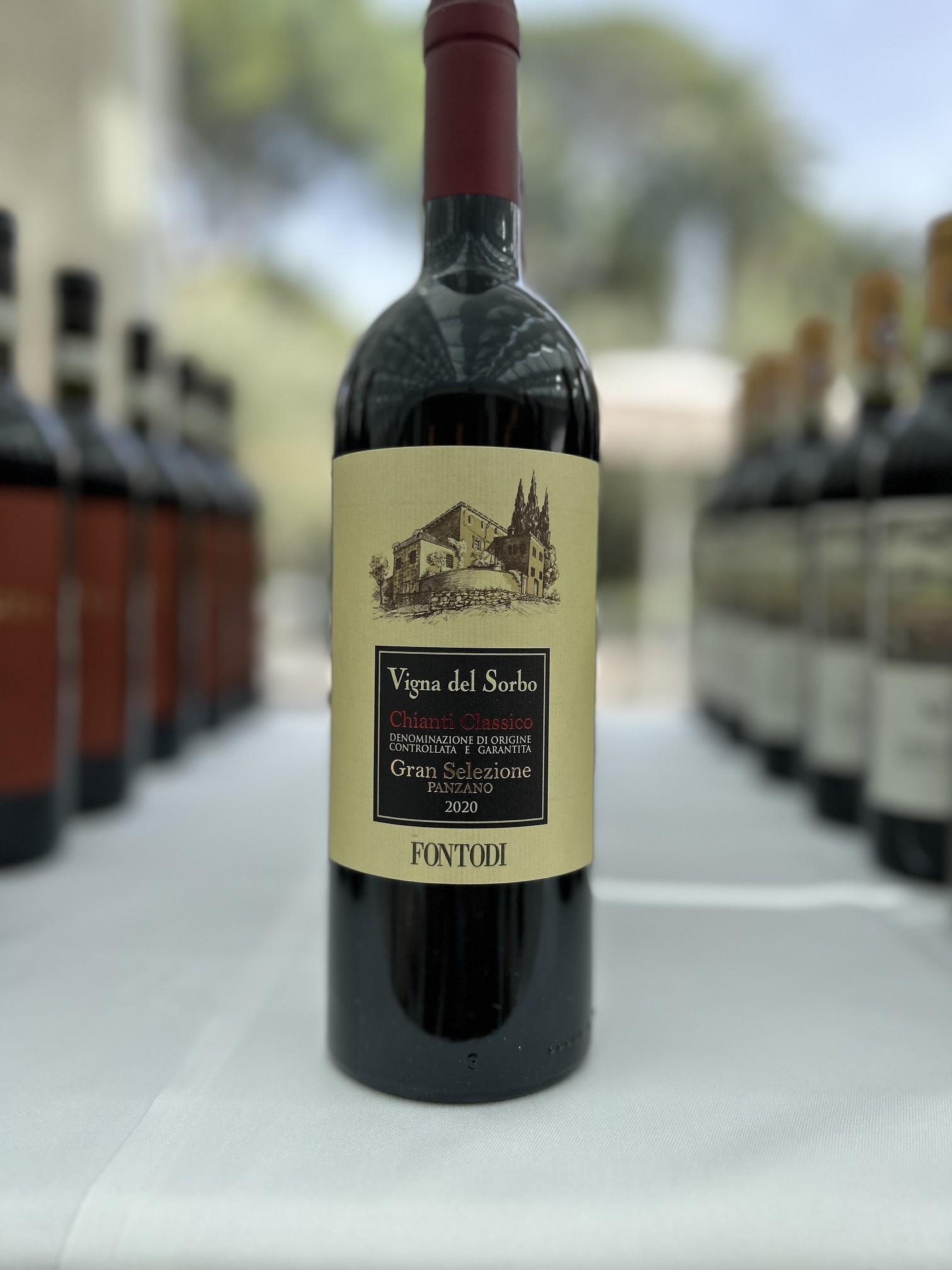 Chianti Classico Gran Selezione Vigna del Sorbo 2020 - Fontodi