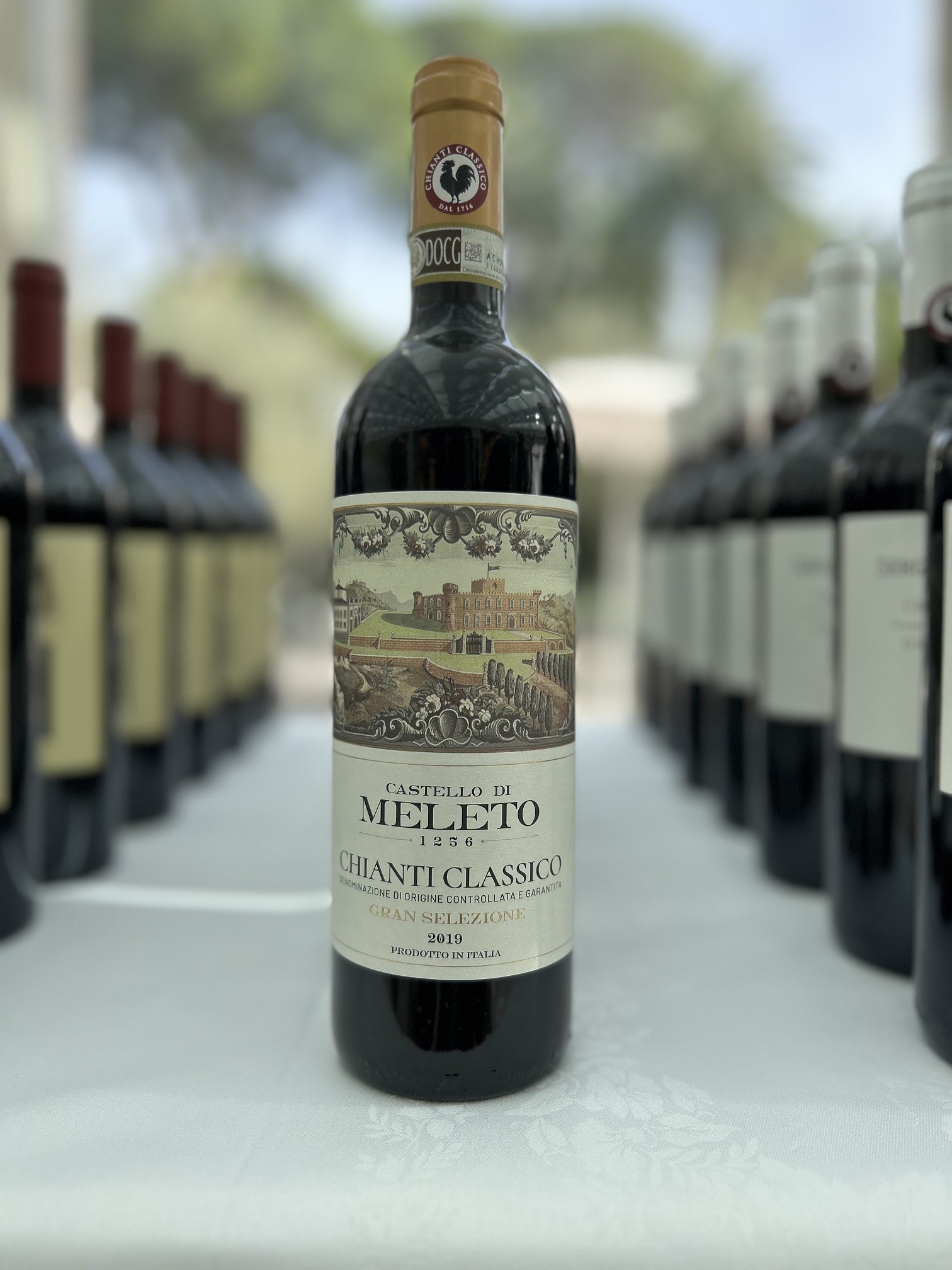 Chianti Classico Gran Selezione Castello di Meleto 2019 - Castello di Meleto