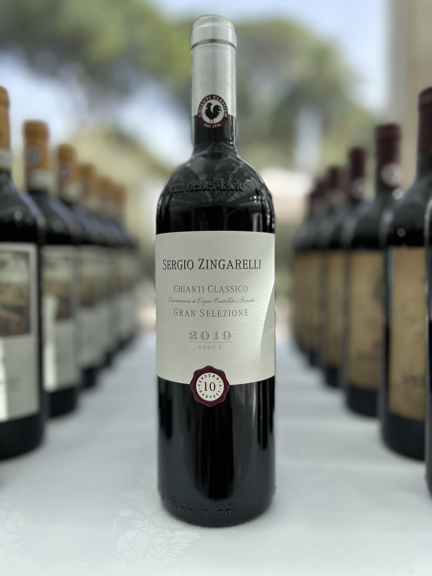 Chianti Classico Gran Selezione Sergio Zingarelli 2019 Rocca delle Macie - Famiglia Zingarelli