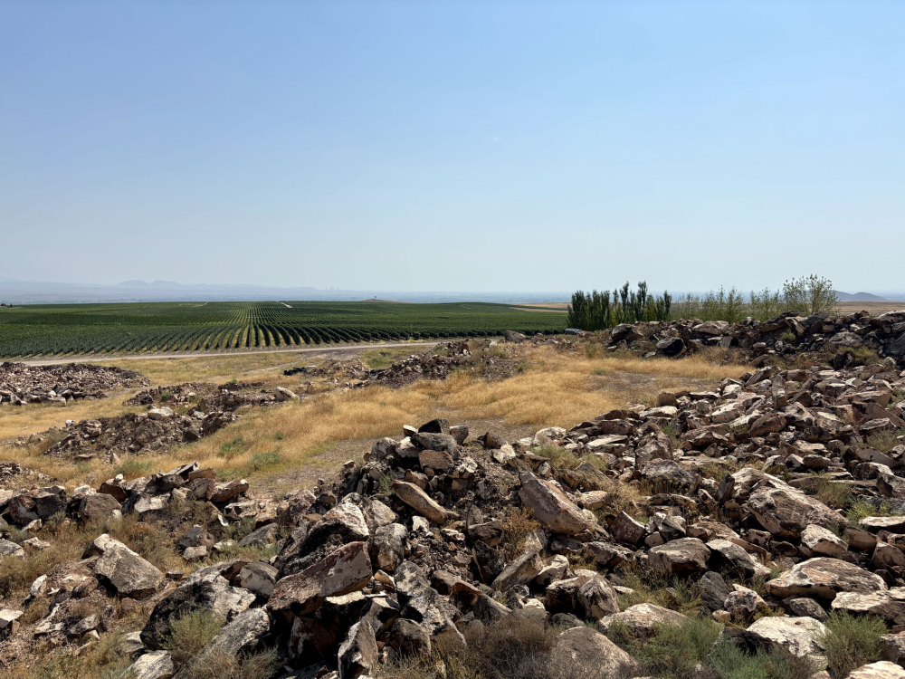 Karas, vista sulle vigne Karas, vista sulle vigne