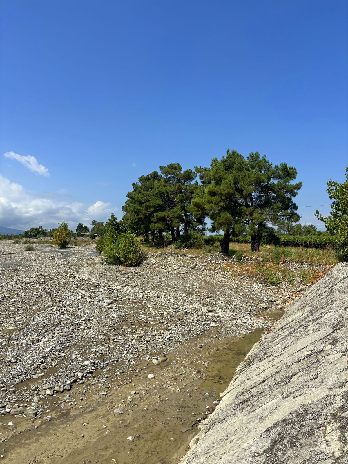 Siamo nella regione del Kakheti nelle vigne di Zurab Topuridze, adiacenti alle rive del fiume Kisiskhevi Siamo nella regione del Kakheti nelle vigne di Zurab Topuridze, adiacenti alle rive del fiume Kisiskhevi