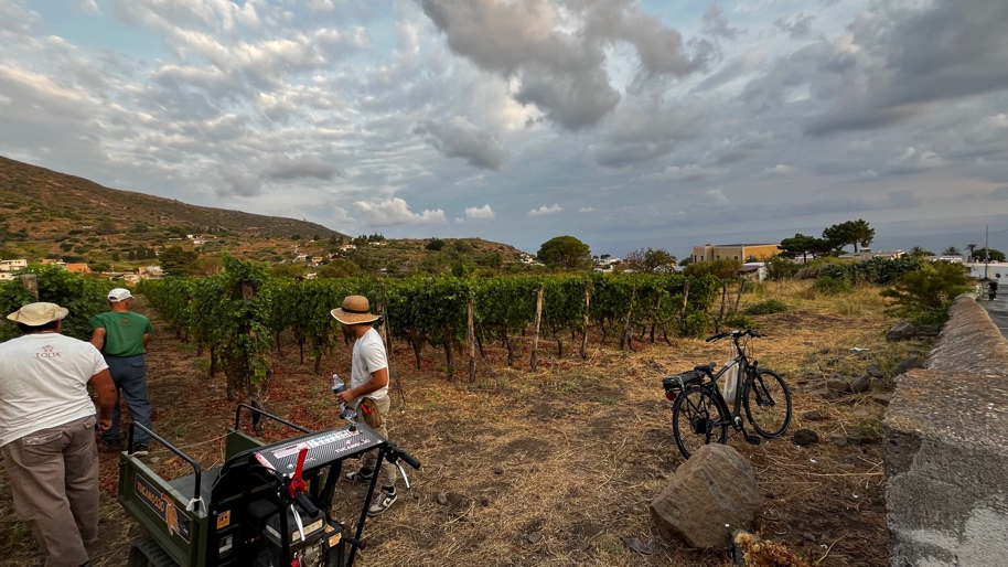Vigneto a Malfa a San Lorenzo