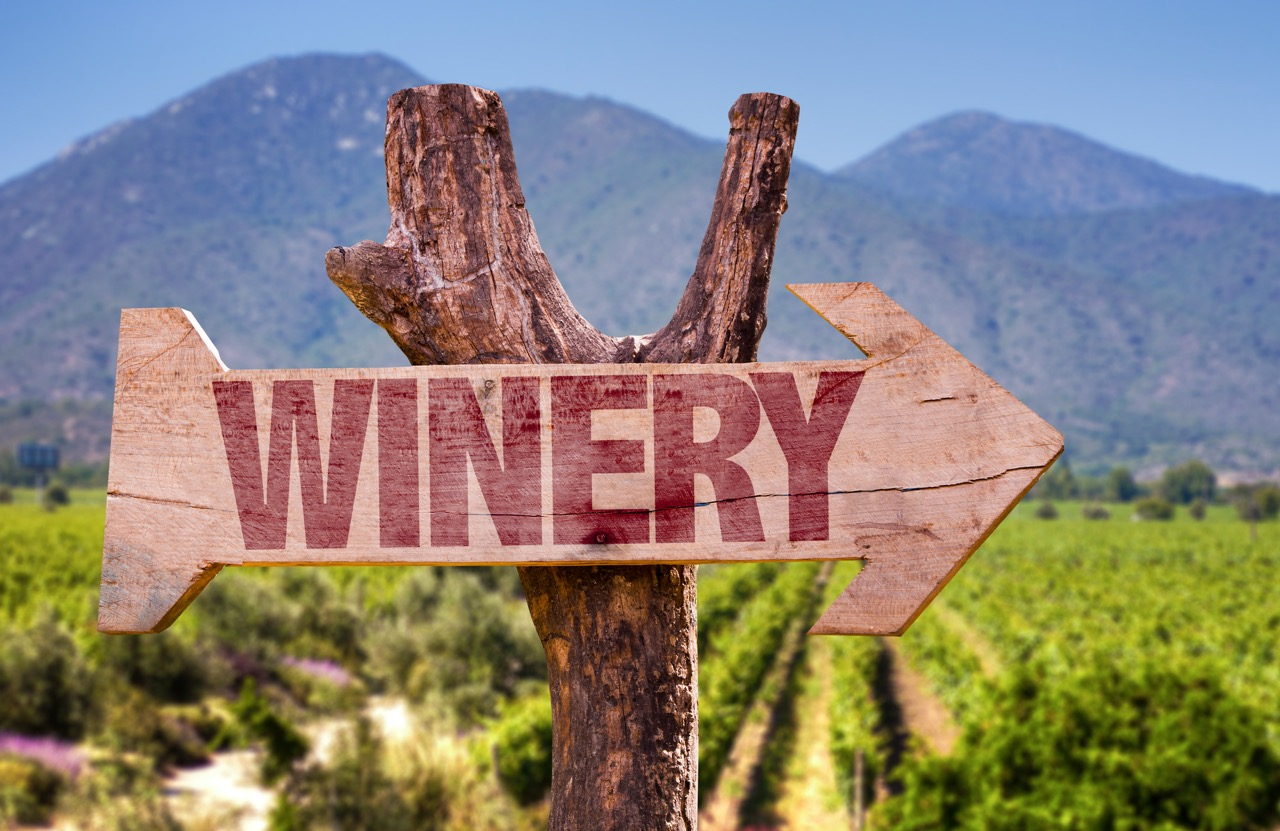 Argentina Vineyard ©shutterstock