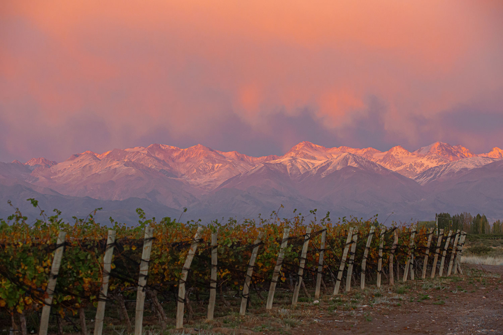 Gualtallary - El Enemigo Wines