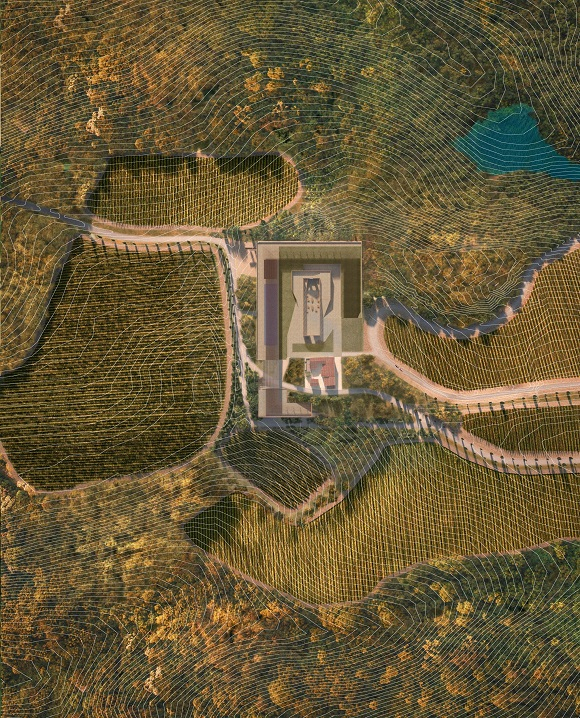 Panoramica Poggio Antico