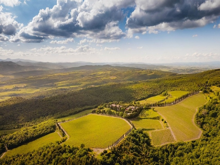 Brunello di Montalcino: la voce di Poggio Antico