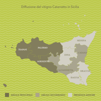 Le aree vitivinicole del Catarratto in Sicilia Le aree vitivinicole del Catarratto in Sicilia