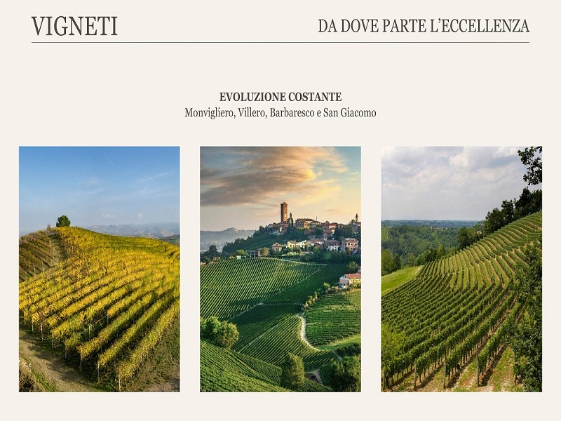 Identità ed eleganza di Poderi Luigi Einaudi