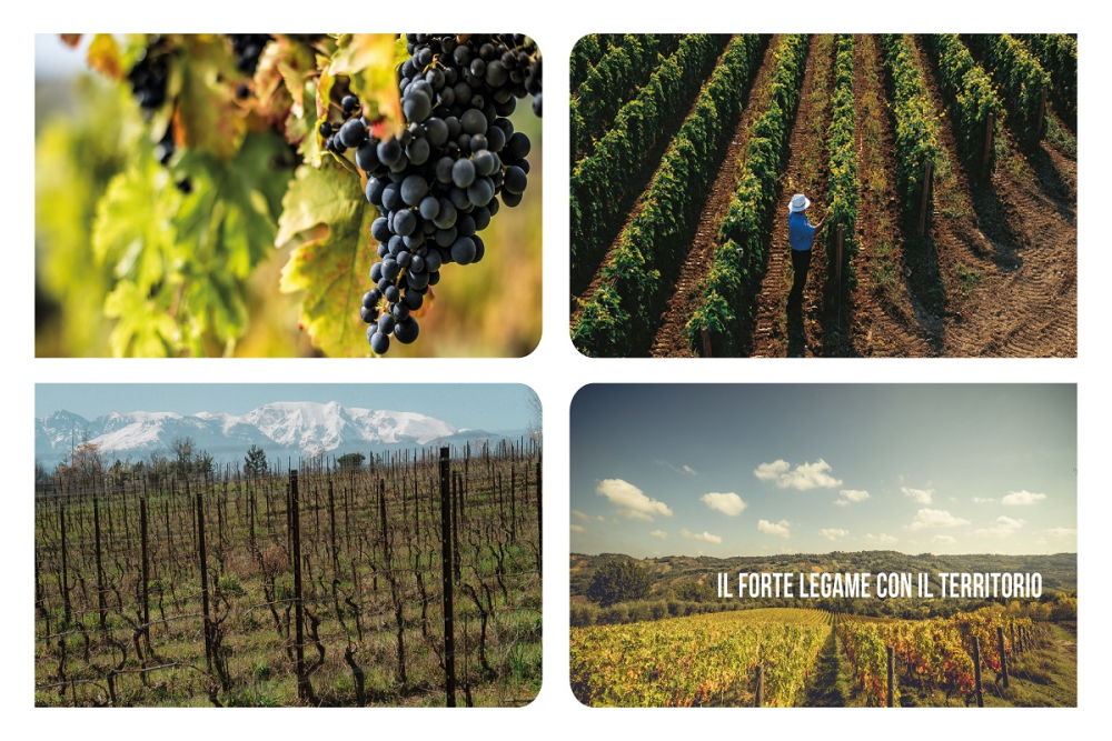 Il forte legame con il territorio