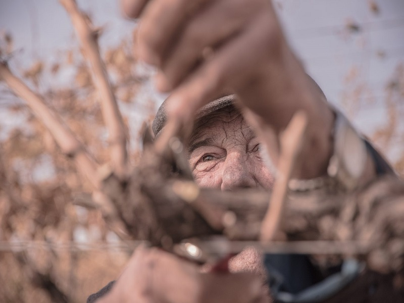 Farina e la sua visione della Valpolicella