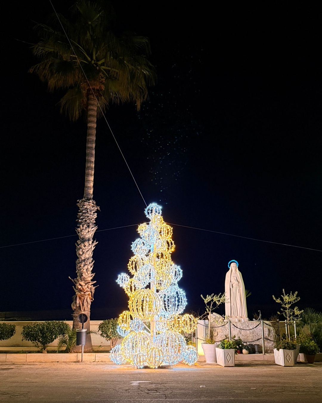 Accanto all’albero la Madonnina dei Pescatori