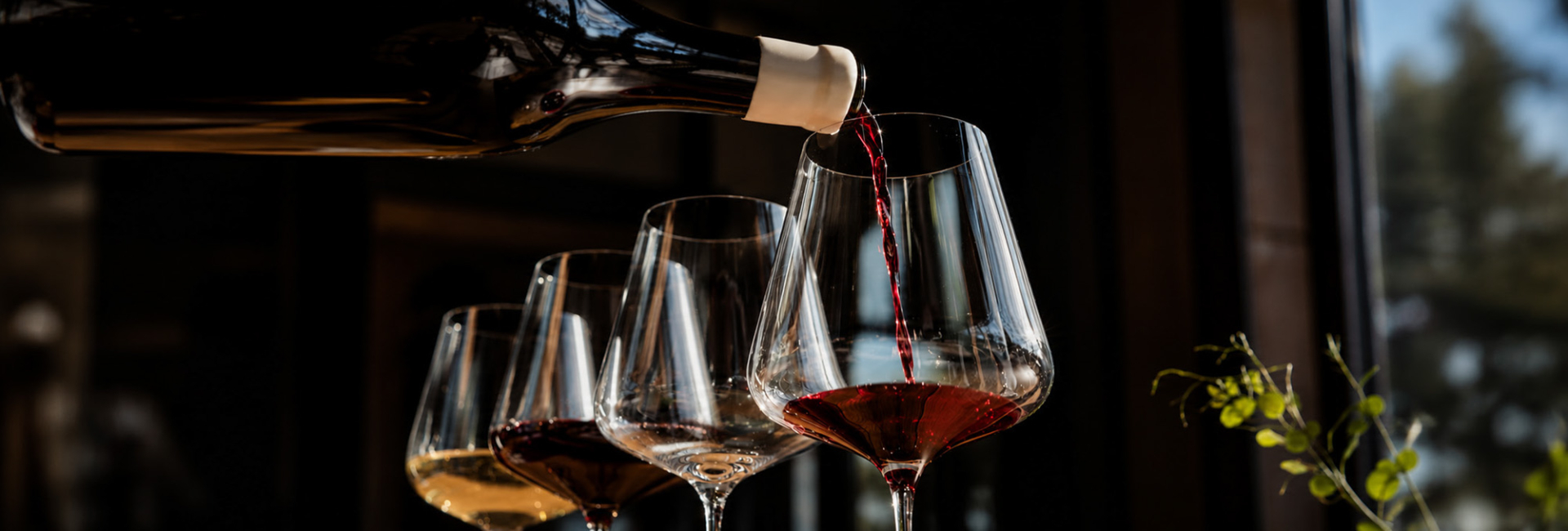 CORSO SOMMELIER DEL VINO