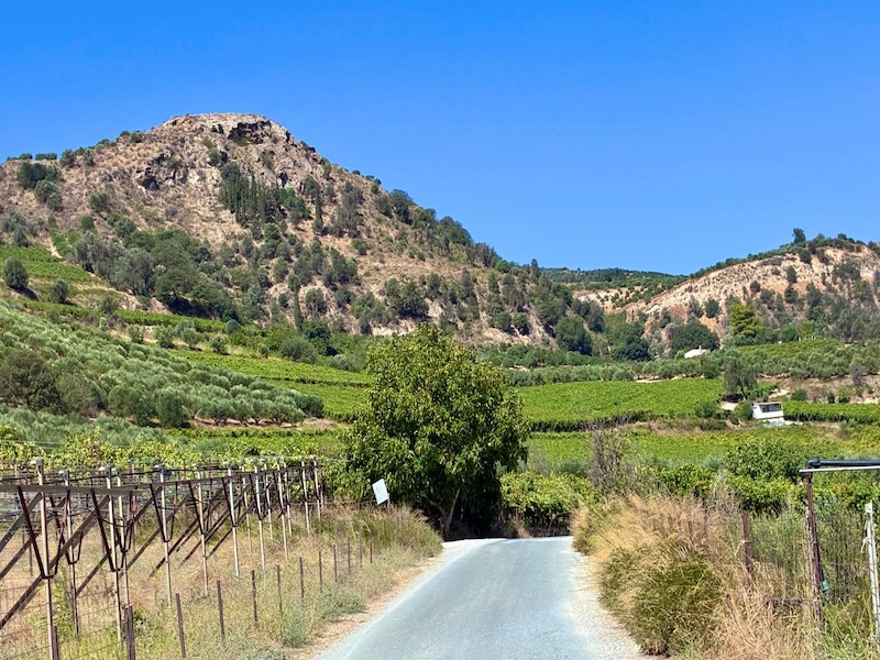 Strade del vino a Creta