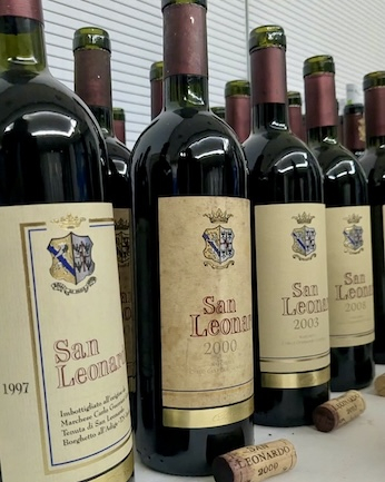 Verticale di San Leonardo